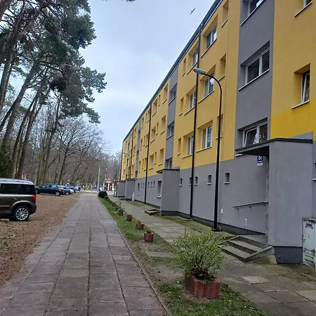 Smieszka Daire Łeba