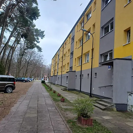 Smieszka Apartment Leba